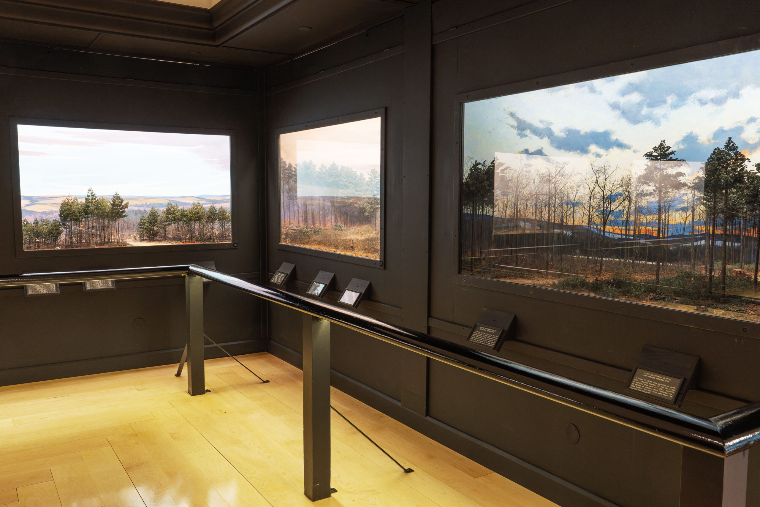 A view of three of the dioramas in Harvard Forest's Fisher Museum